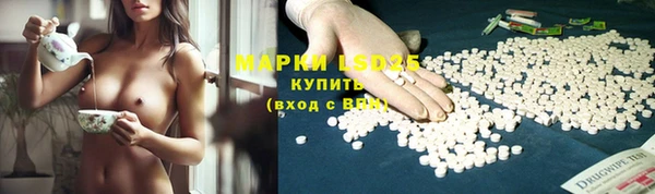 apvp Богданович