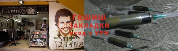 шишки Верея