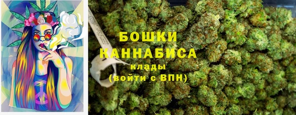 apvp Богданович
