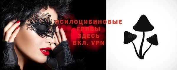 шишки Верея