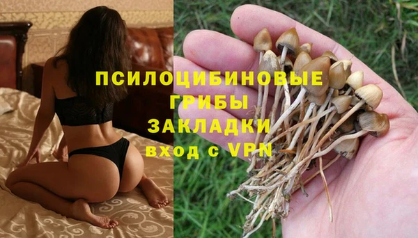 герыч Богородицк