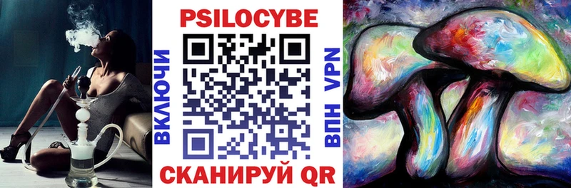 ссылка на мегу ССЫЛКА  Северск  Галлюциногенные грибы Psilocybine cubensis  хочу наркоту 